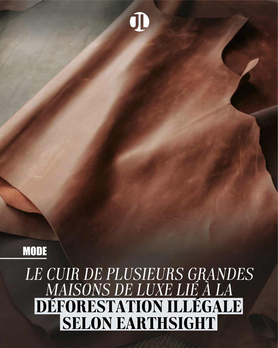 Luxe &amp; déforestation : l’envers du décor du cuir certifié 👇

L’ONG <a href="/earthsight/">Earthsight</a> accuse plusieurs marques de luxe d’utiliser du cuir issu de zones illégalement déboisées en Amazonie, via des tanneries italiennes. Plusieurs grandes maisons sont concernées.

journalduluxe.fr/fr/mode/cuir-g…
