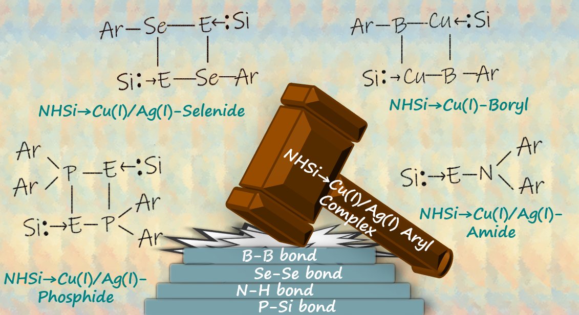 Moushakhi Ghosh tweet media