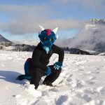 Photo by CorgiMcBlyat (@sopranotoco)