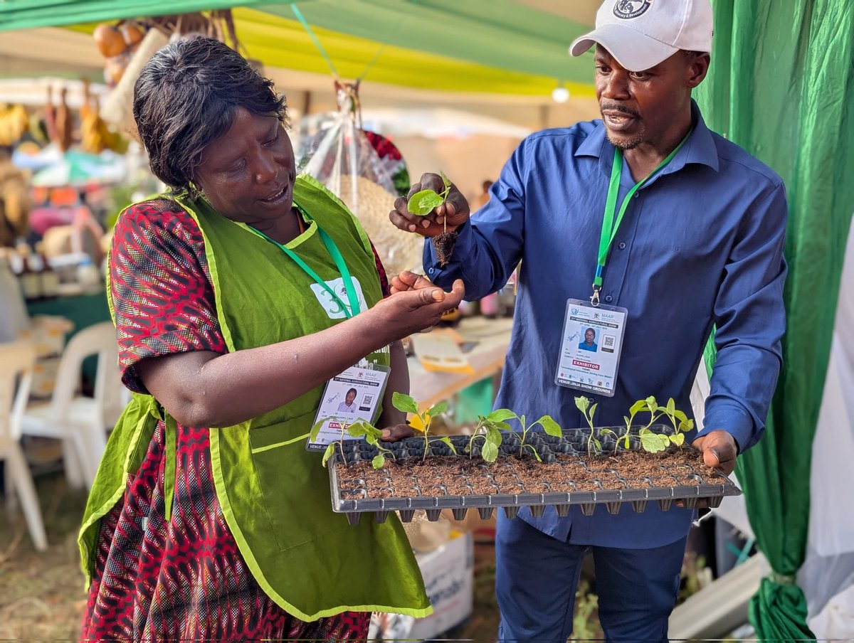 Knowledge sharing amongst Agroecology practitioners #RegionalAMASE2025 in Jinja. Its an interaction &amp; learning between the central and Rwenzori Region as two representatives from different Member Organizations appreciate the different AE best practices <a href="/afirduganda/">Agency For Integrated Rural Development (AFIRD)</a>#KnowhatYouEat*