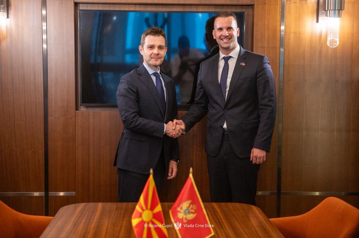 YGL Davos laureati sa Balkana zajedno za ujedinjen i evropski Zapadni Balkan!  🇲🇪🇲🇰🇪🇺