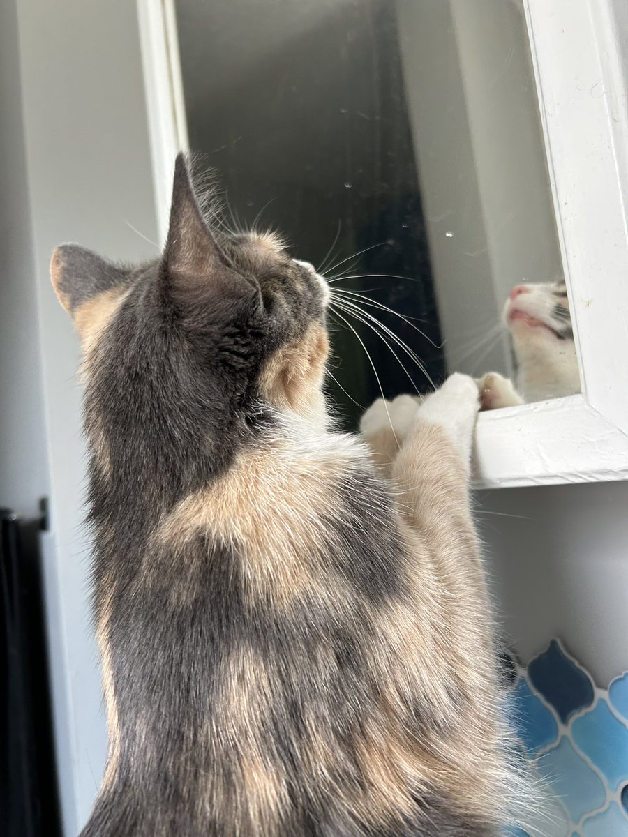 She’s becoming self aware