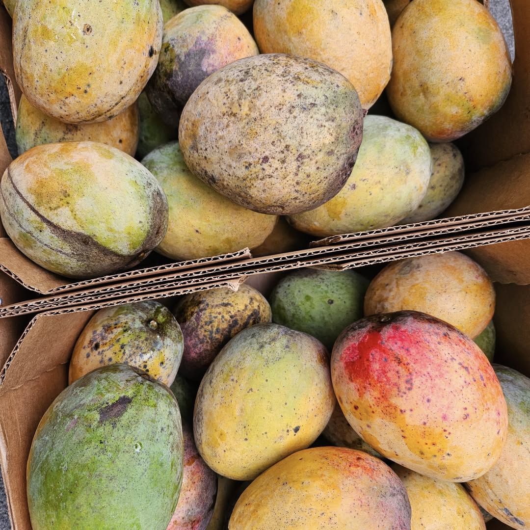 Today might be the last day of #NationalMangoMonth but thankfully we can enjoy this delicious #FreshFromFlorida fruit all summer long. What is your favorite way to enjoy this tasty fruit?