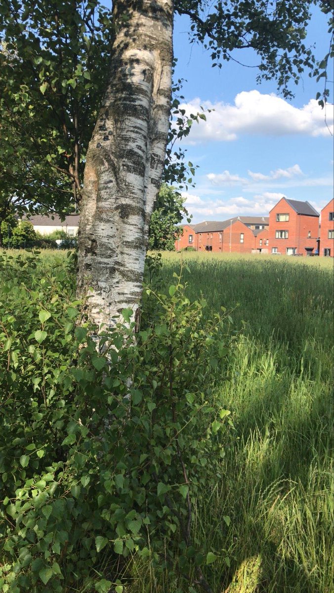 Save College Bank tweet media