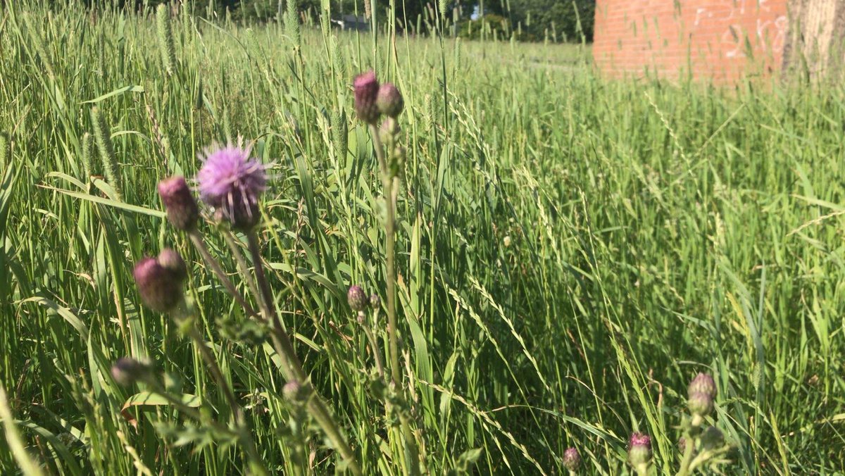 Save College Bank tweet media