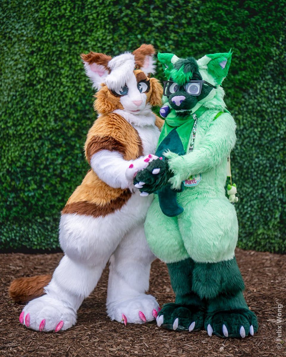 Noots/Persephone🔜 Anthrocon tweet media