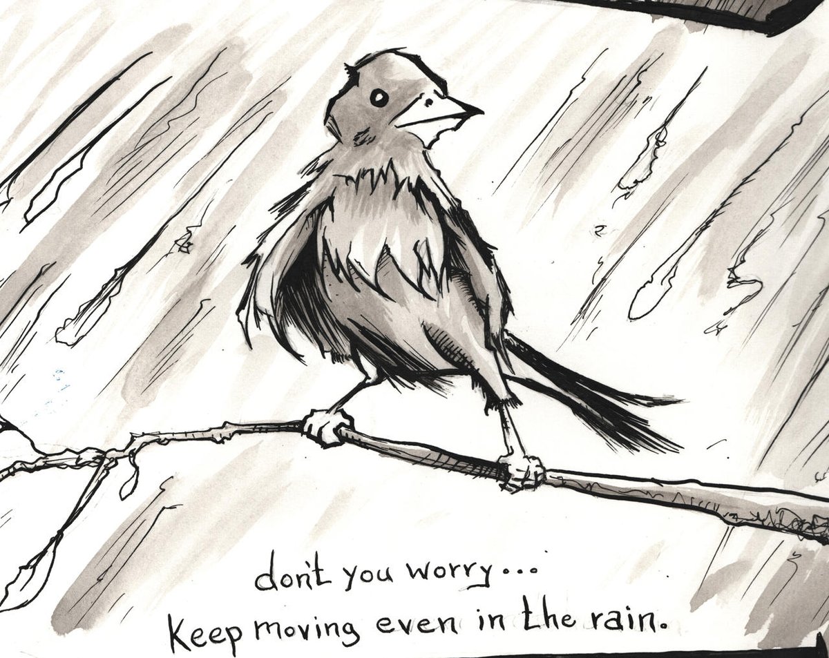 RScanio's tweet photo. You wanna know how I'm old?

Because I've memorized every type of bird I've seen in my yard on a regular basis .... and I'm super excited when i see them.

Happy Monday https://t.co/HG7xgc0cMC