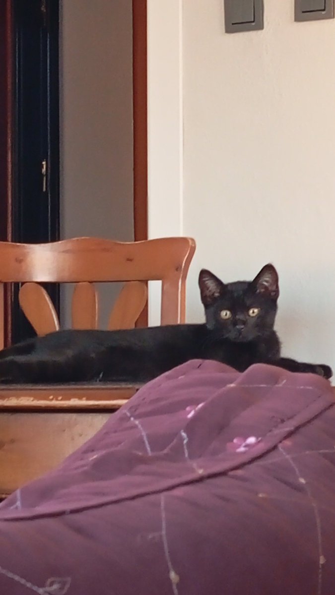 Gece ne piçlikler yapsam diye düşünüyor