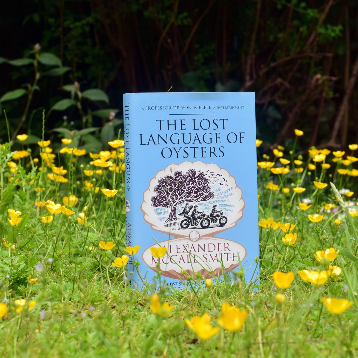 Have you read the latest Alexander McCall Smith novel yet? The Lost Language of Oysters is the most recent in his Professor von Igelfeld series, in which there is a promise of a visit to Louisiana, where important research is being undertaken into communication among oysters. 🦪