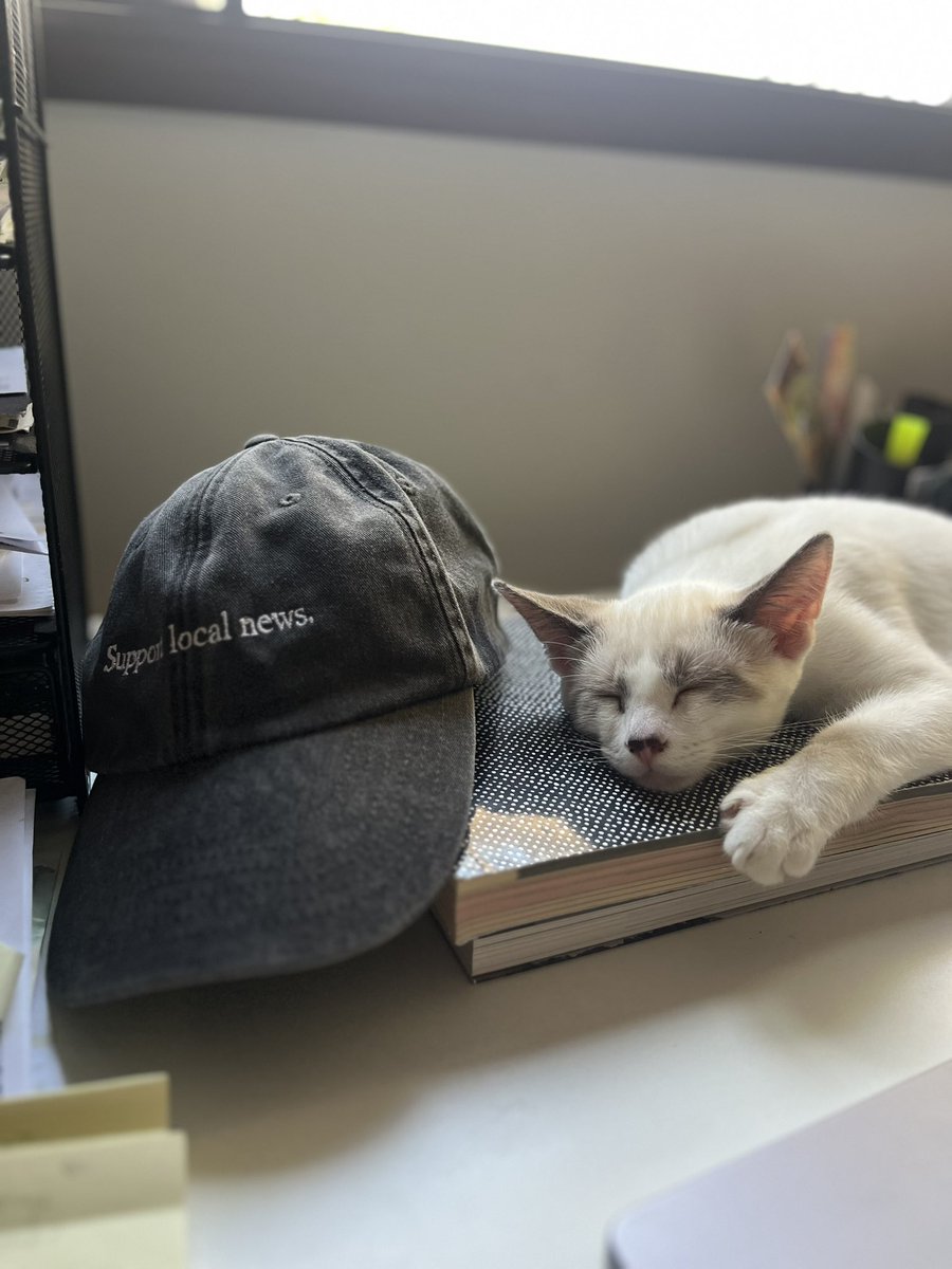 lila_seidman's tweet photo. Listen to Hamlet (the cat): support local news! https://t.co/DM5W1fVJ7J