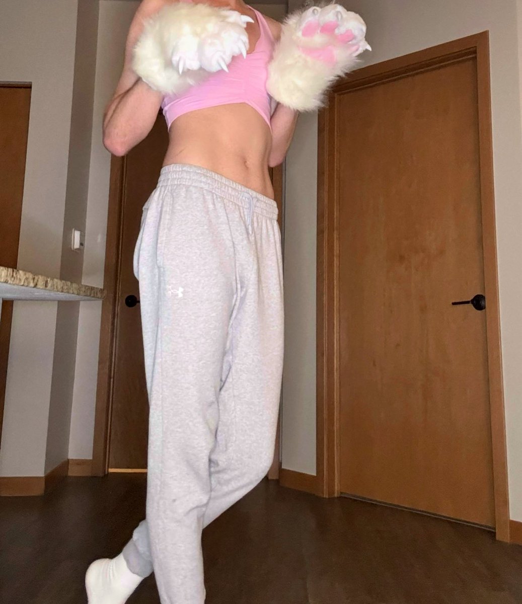fletchercollie's tweet image. when ur mean to me this is who ur being mean to btw