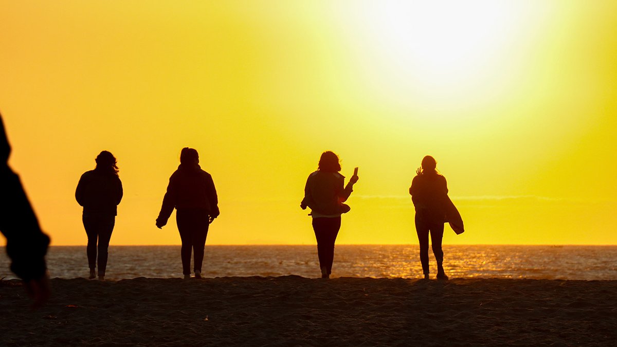 SURF’S UP! Surfer Magazine ranked SFSU No. 7 on its list of the best surf colleges. Did you hit the waves as a Gator? surfer.com/news/best-surf…