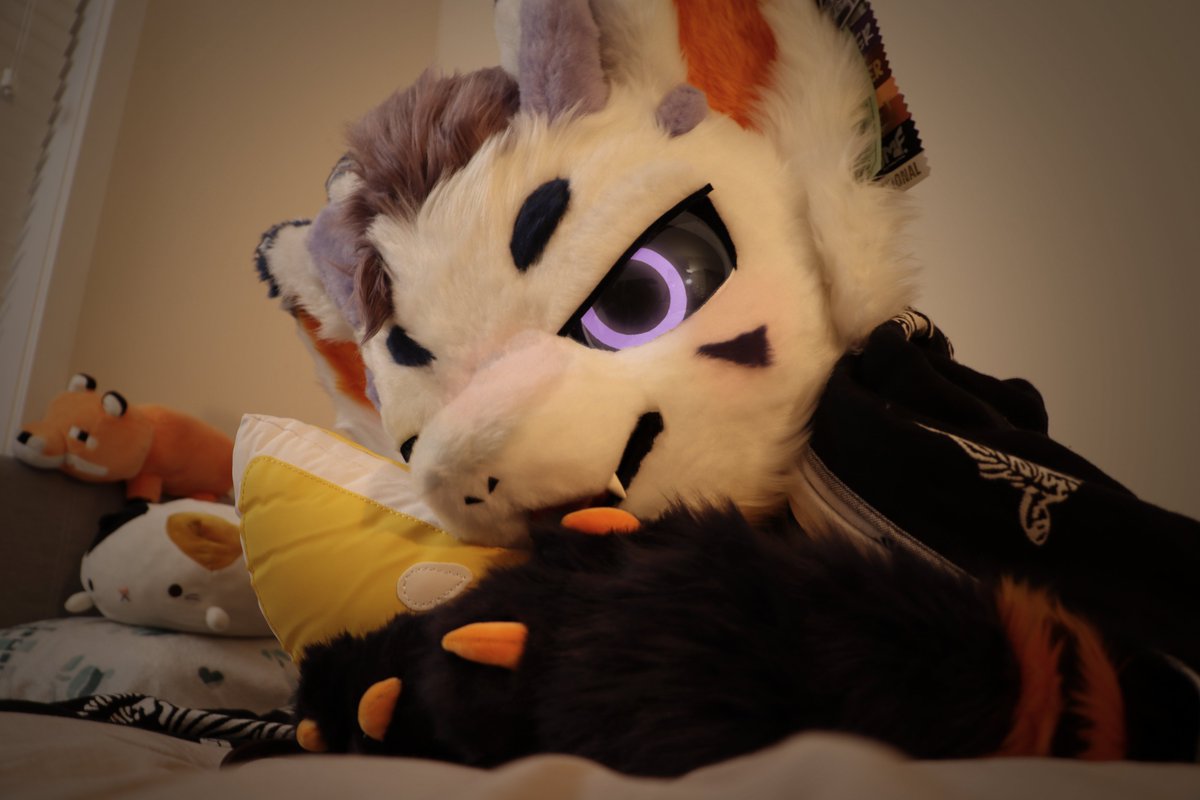 Wanna go for a nap? ~

📷: <a href="/LaursenWhite/">LaursenW 🔜 AFC</a>
#FursuitEveryday
