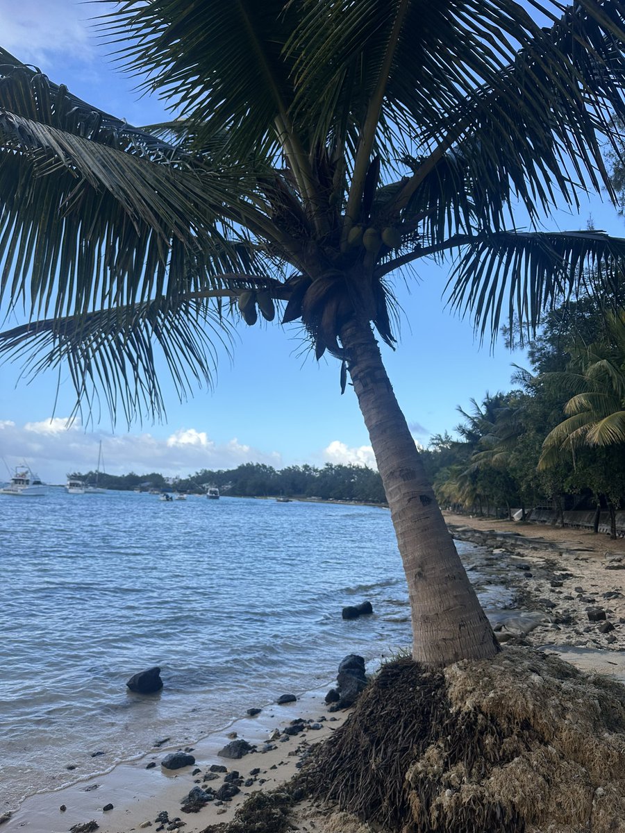 OpheliaPRB's tweet photo. Last few days taking my beautiful Mum to all her childhood memories in beautiful Mauritius. It’s been a joy seeing her face revisting her old school, Loreto. ❤️ https://t.co/rYpJfFFQJW