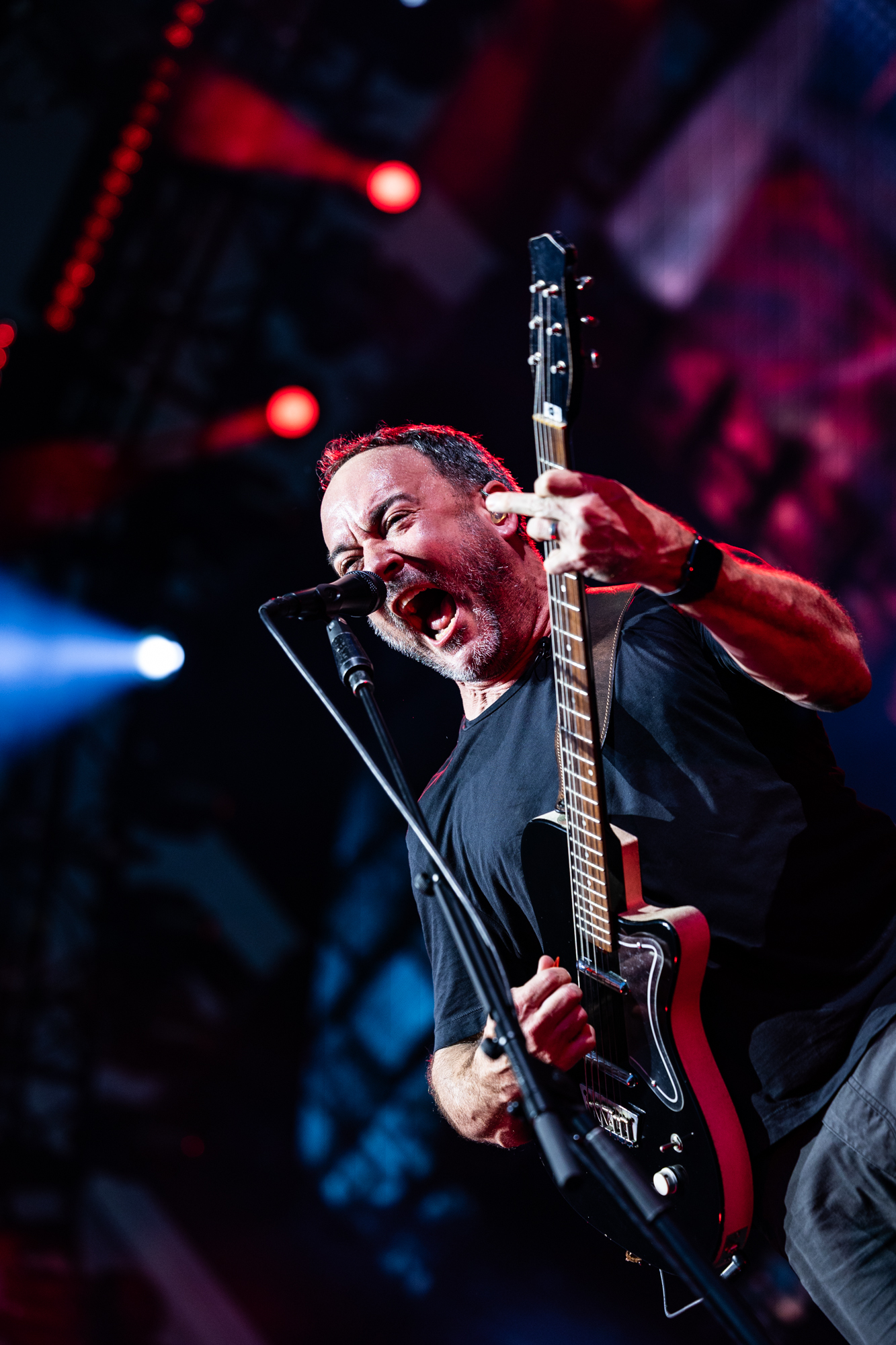 【希少】 Dave Matthews Band ギターピック 希少】 Dave Matthews Band ギターピック DAVE MATTHEWS BAND