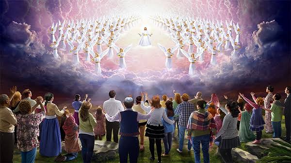 Grant Pringle🧢🇿🇦🏠👌 tweet media