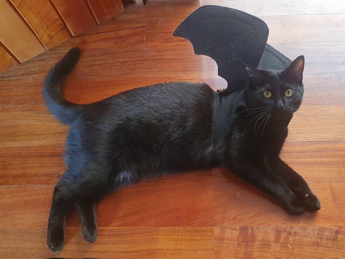 Rolman's tweet image. Death Stranding 2 cosplay: