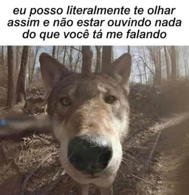 oigatuna's tweet photo. quem? KKKKKKKKKKK https://t.co/NbGoLmraxc