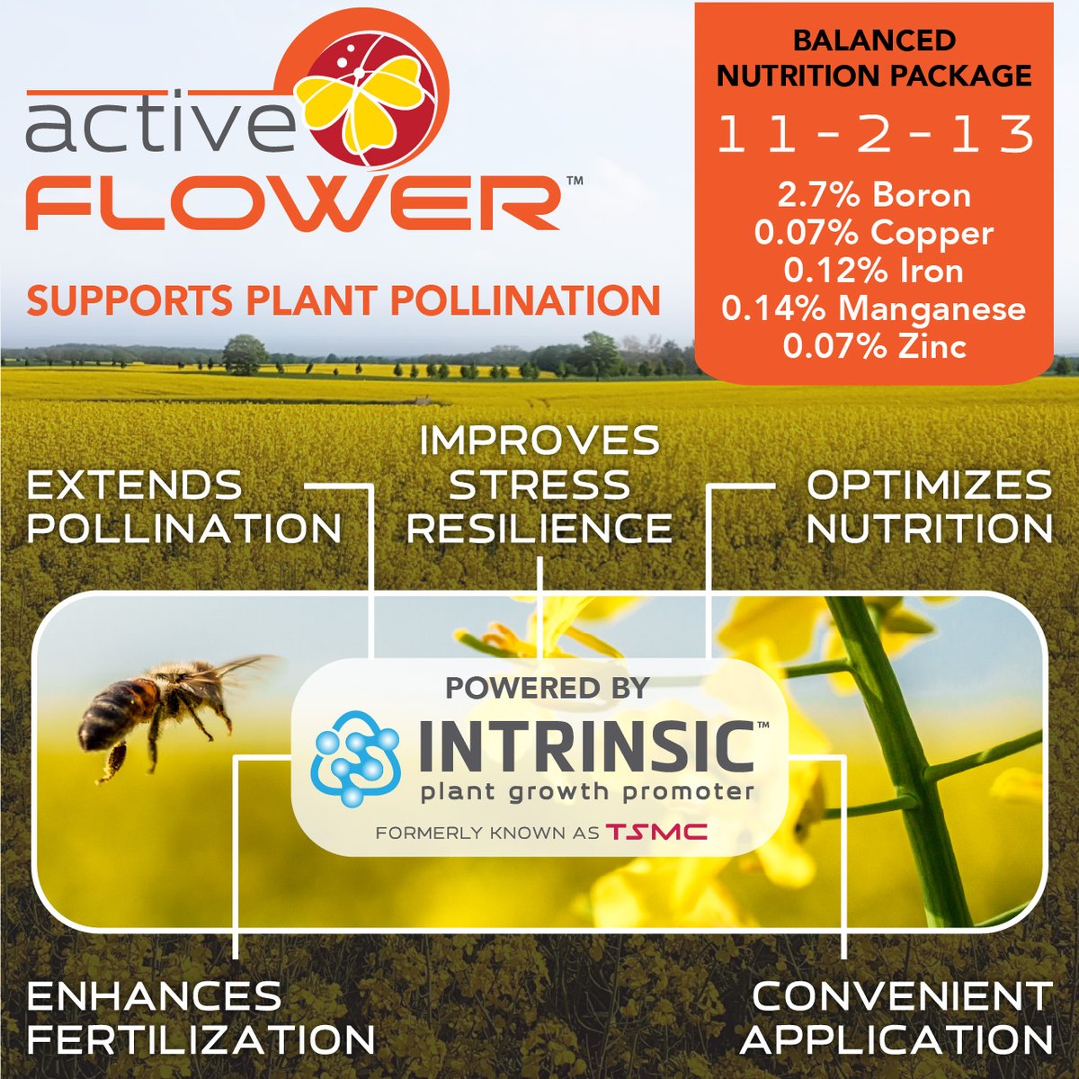 ActiveAgriAUS's tweet photo. Active FLOWER™ supports pollination, fertilisation, and pod retention—when it counts most. 6 years of third-party yield data shows 10% yield increases in canola. Easy addition to your fungicide tank mix.
 
East AUS: 0448 854 412
West AUS: 0438 974 354, 0402 794 288 https://t.co/6wUMlA1AAj