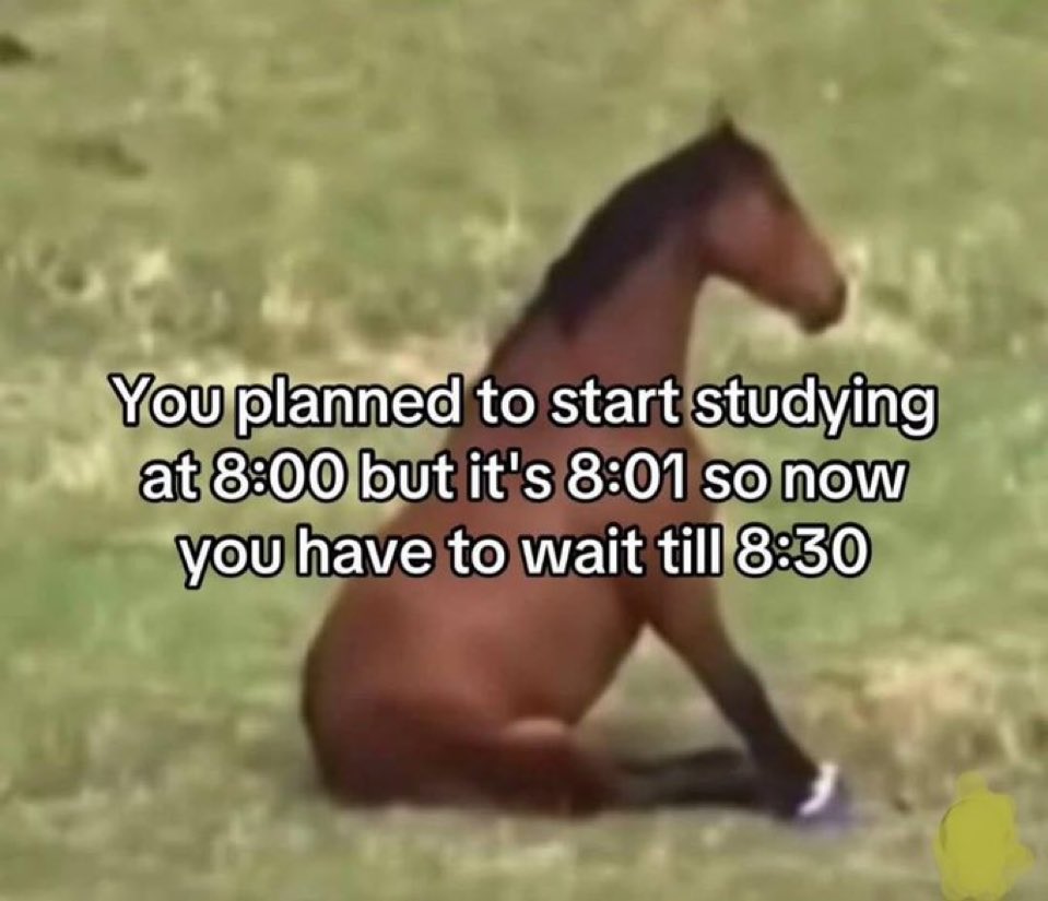 memechaotic tweet picture