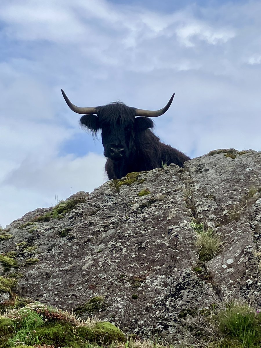 Met this boy on the hill earlier. It wasn’t a long conversation…