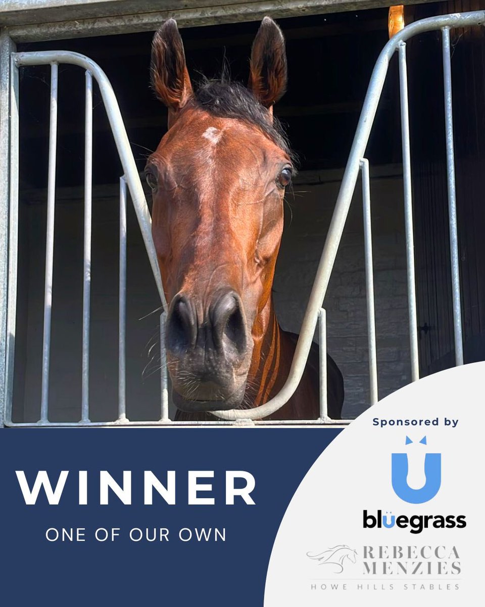 🏆WINNER🏆 
One Of Our Own wins @pontefractraces
A brilliant ride by @kaiyafraser 
Congratulations to the Rebecca Menzies Racing Club 💙🤍
Another winner fed on @bluegrasshorsefeed #poweredbybluegrass #winner #racehorse #fedonbluegrass #horseracing #racehorsetrainer