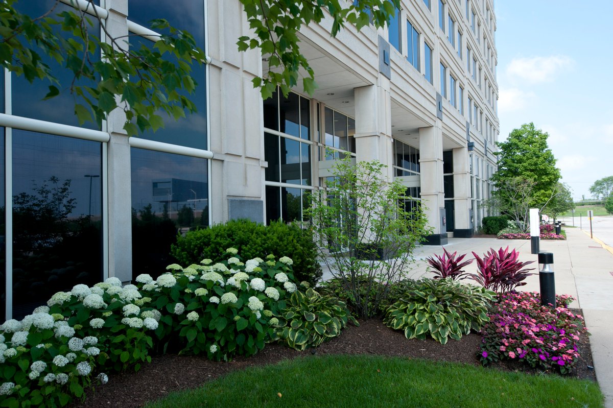 CPHorticulture's tweet image. July&apos;s solutions are dropping! Our Cornerstone Foundations newsletter arrives tomorrow, July 1st. Packed with tips for vibrant turf, smart tech, &amp;amp; proactive property management. Get ready! #LandscapeTips #PropertyManagement #JulyNewsletter