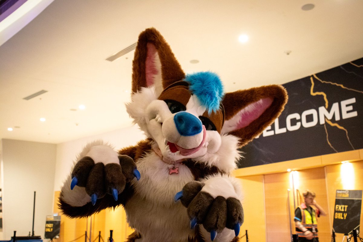 paws up for #morefurlessmonday :3