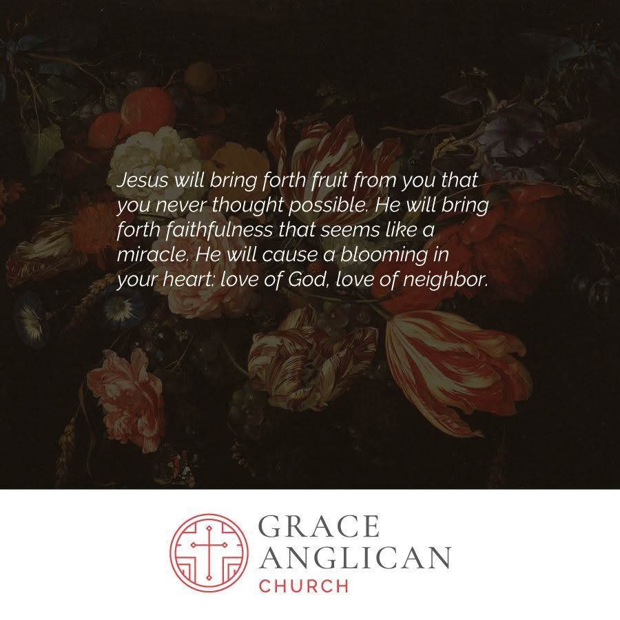 Grace Anglican Louisville (@graceanglou) on Twitter photo 