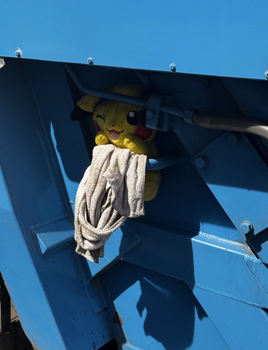 Japanese garbage trucks have a custom to display stuffed toys between their cars when they find them in the garbage they collect. Is there such a custom in other countries?
