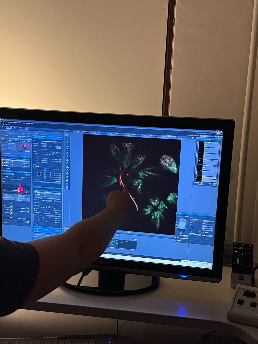 MBLBoP's tweet image. Lots of imaging taking place for module presentations in the coming days!

Photo credit: @MegPove 

#MBLBoP2025