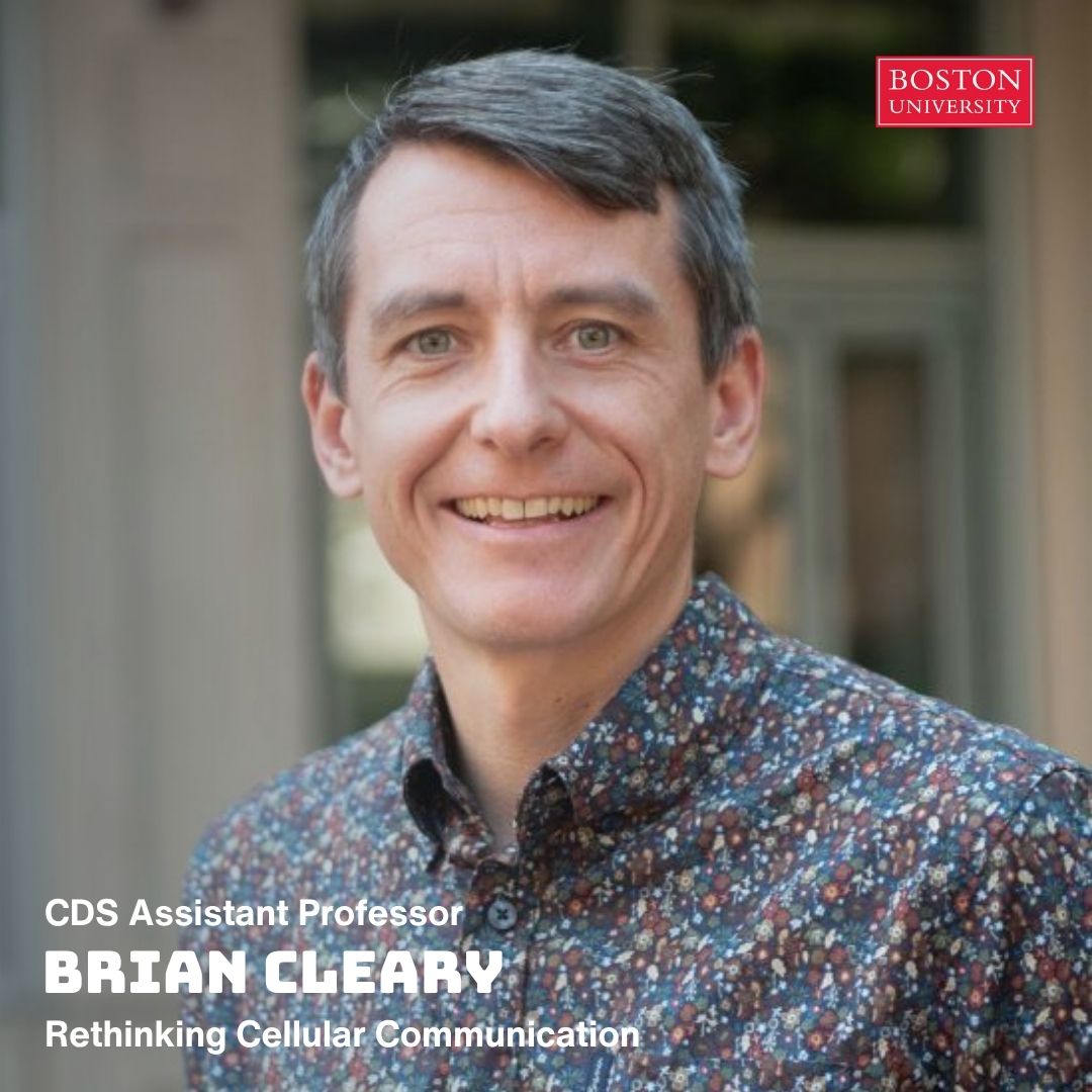 BU Computing & Data Sciences (CDS) (@bu_cds) on Twitter photo Research Spotlight 💡<a href="/BU_Tweets/">Boston University</a> CDS Brian Cleary (Bioinformatics, BME, BDC) and collaborators have introduced Perturb-FISH—a new CRISPR-based method that maps gene function in tissue, without disrupting it. Published in <a href="/CellPressNews/">Cell Press</a> 🔗bit.ly/466KafV Research Spotlight 💡<a href="/BU_Tweets/">Boston University</a> CDS Brian Cleary (Bioinformatics, BME, BDC) and collaborators have introduced Perturb-FISH—a new CRISPR-based method that maps gene function in tissue, without disrupting it. Published in <a href="/CellPressNews/">Cell Press</a> 🔗bit.ly/466KafV