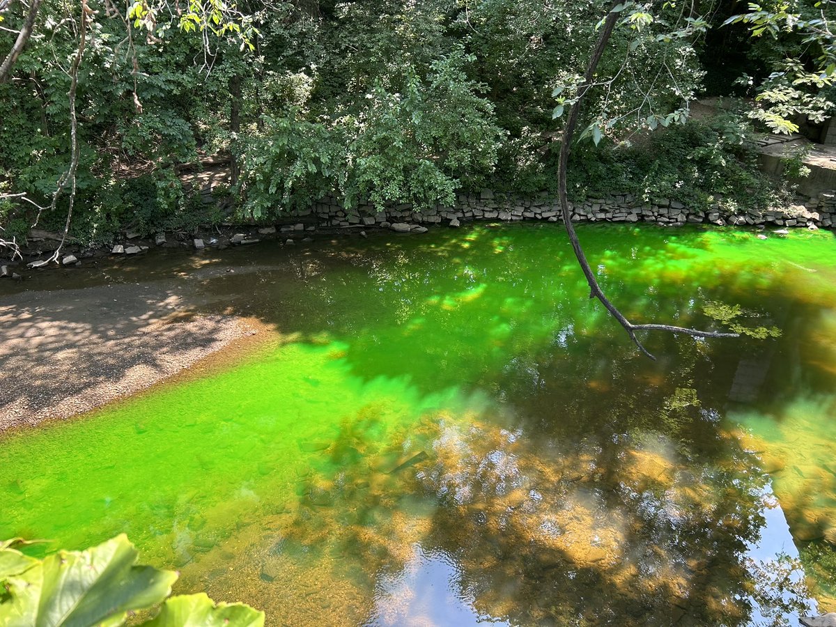 Noticed the green in Rock Creek this weekend? It's just a test &amp; is long gone. We used dye to investigate a sinkhole &amp; void near a sewer line on the ramp to Rock Creek &amp; Potomac Pkwy from P St NW. It's perfectly safe, non-toxic &amp; meets EPA standards. No cause for alarm. #DCWater