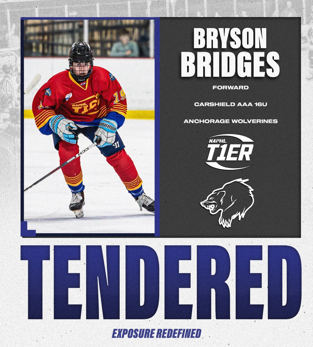 NAPHL (@naphl) on Twitter photo #NAPHL T1ER Advancement: <a href="/CarshieldHockey/">Carshield AAA Hockey</a> 16U forward Bryson Bridges has signed an <a href="/NAHLHockey/">NAHL</a> tender agreement with the <a href="/anchoragewolve1/">Anchorage Wolverines</a>.
📰: nat1hl.com/news/story.cfm… #NAPHL T1ER Advancement: <a href="/CarshieldHockey/">Carshield AAA Hockey</a> 16U forward Bryson Bridges has signed an <a href="/NAHLHockey/">NAHL</a> tender agreement with the <a href="/anchoragewolve1/">Anchorage Wolverines</a>.
📰: nat1hl.com/news/story.cfm…