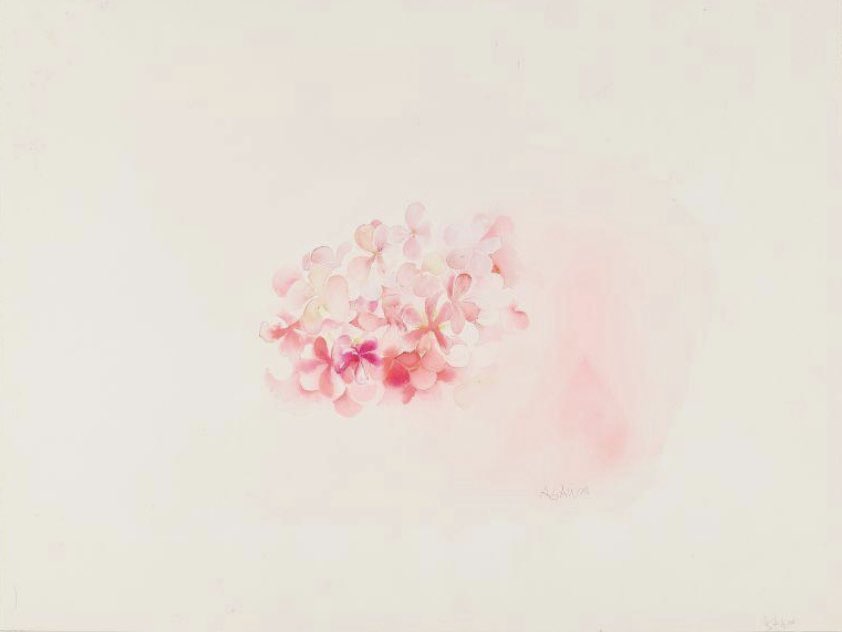 SFMOMA's tweet image. 🌺 Fresh from Ruth Asawa’s garden—a little summer beauty in bloom.
See more of Asawa's works on paper before "Ruth Asawa: Retrospective" closes on September 2!
