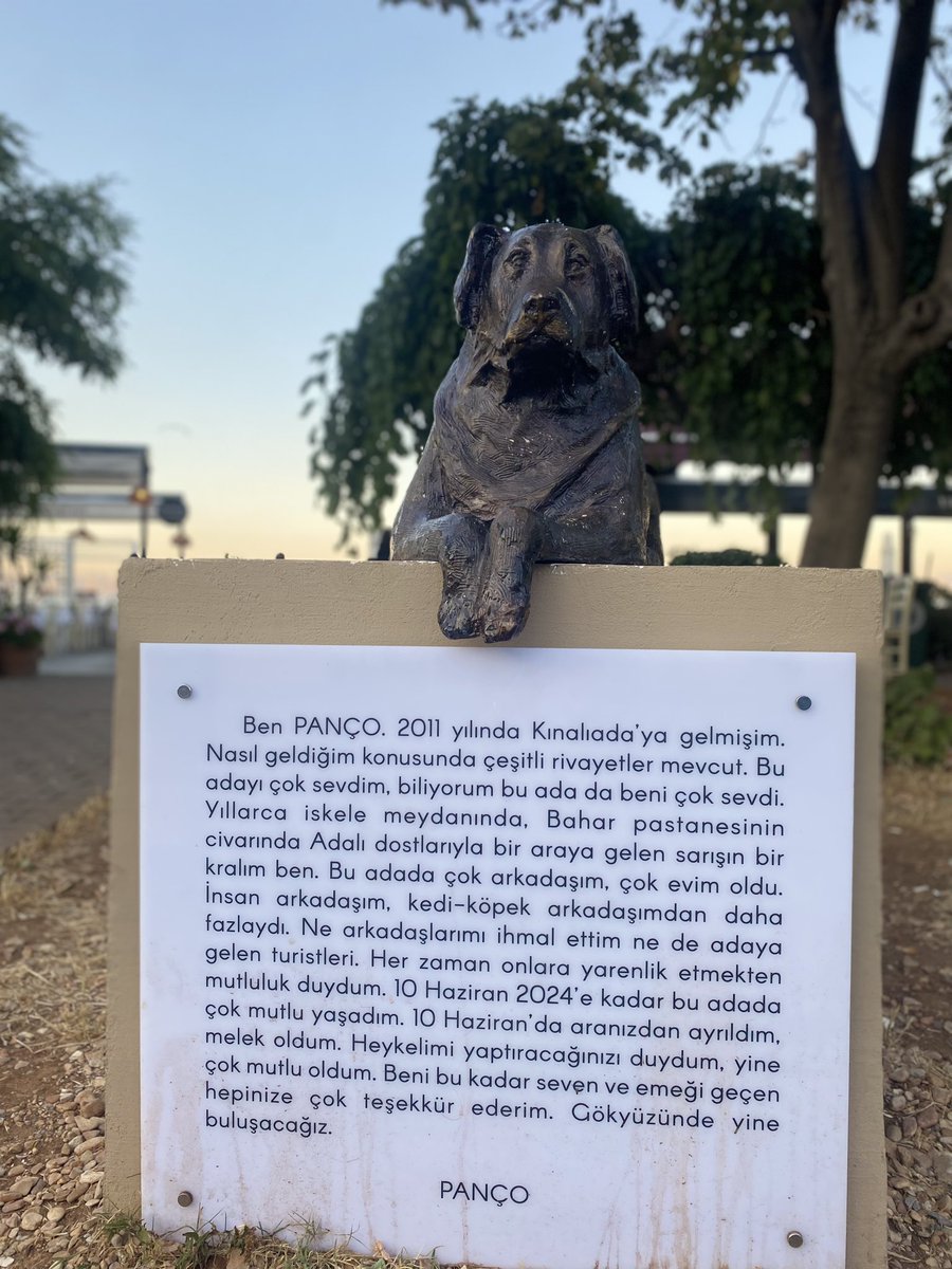 Kınalıada’da, halk, Panço adlı bir sokak köpeğinin heykelini yaptırmış. Bu ülke, tam küsecekken, detaylarıyla, sürekli umut yeşerten bir yer 🍃