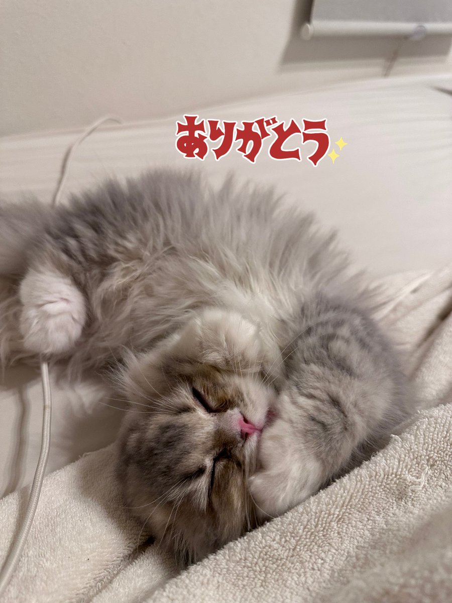 ご視聴ありがとうございました😘

やまだくん ビッツ💸💰
社長 ビッツ💸💰

ありがとうございます🐜

6月は一回も配信休まなかったぞー！！