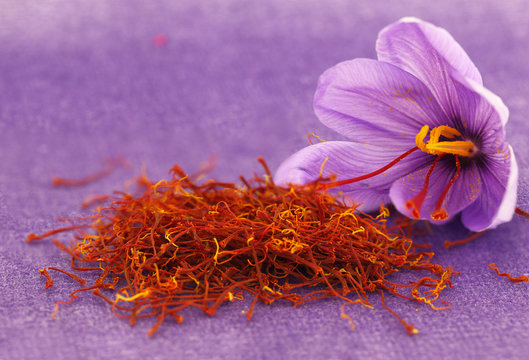 phan_versace's tweet photo. #Victual #saffron spice on sale. Skinny red stigmas pack flavor. Such a beautiful violet flower. #15WordPoet https://t.co/pWyl4S6cec
