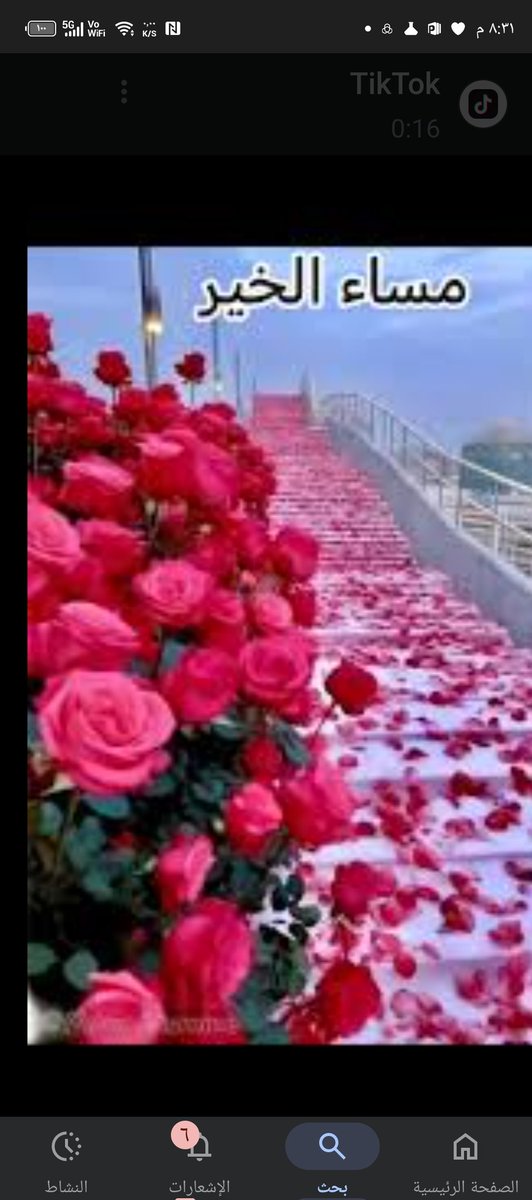 M (@ati333666) on Twitter photo 