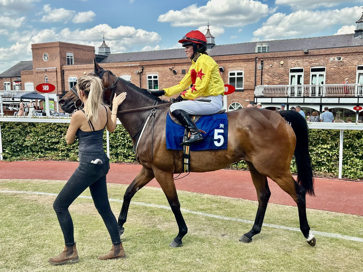Tim Easterby Reality Partners (@tde_syndicates) on Twitter photo A good run by the old boy Highwaygrey to finish 3rd at Pontefract.  Ridden by Emily Roberts.#TimEasterby #RealityPartners A good run by the old boy Highwaygrey to finish 3rd at Pontefract.  Ridden by Emily Roberts.#TimEasterby #RealityPartners