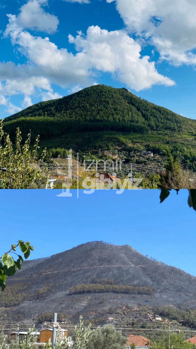 Seferihisar Orhanlı’da yangın öncesi ve sonrası