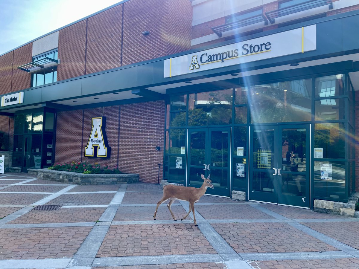 A very important guest was spotted strolling across campus! A great reminder to check out what’s new at the Campus Store where each purchase supports student scholarships! campusstore.appstate.edu