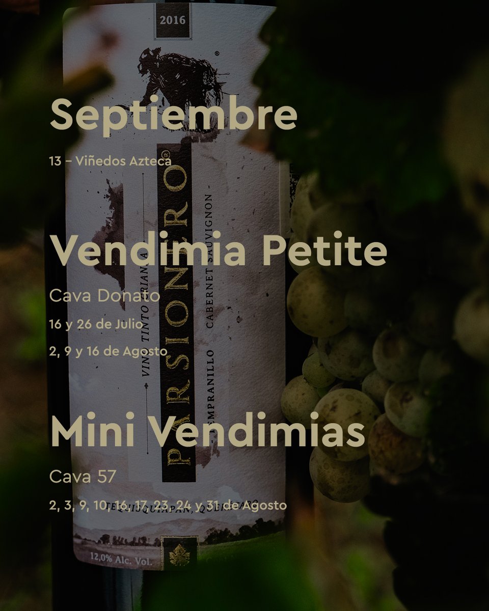 QroTravel's tweet photo. ¡La experiencia de las #vendimias te espera en #Querétaro! 🍇✨

Desde esta semana y hasta septiembre, vive la magia de la Ruta del Queso y el Vino disfrutando de paisajes únicos y sabores inolvidables.

¡Vive esta ancestral tradición con el #vino queretano! 

#QroTreavel #Enoturismo