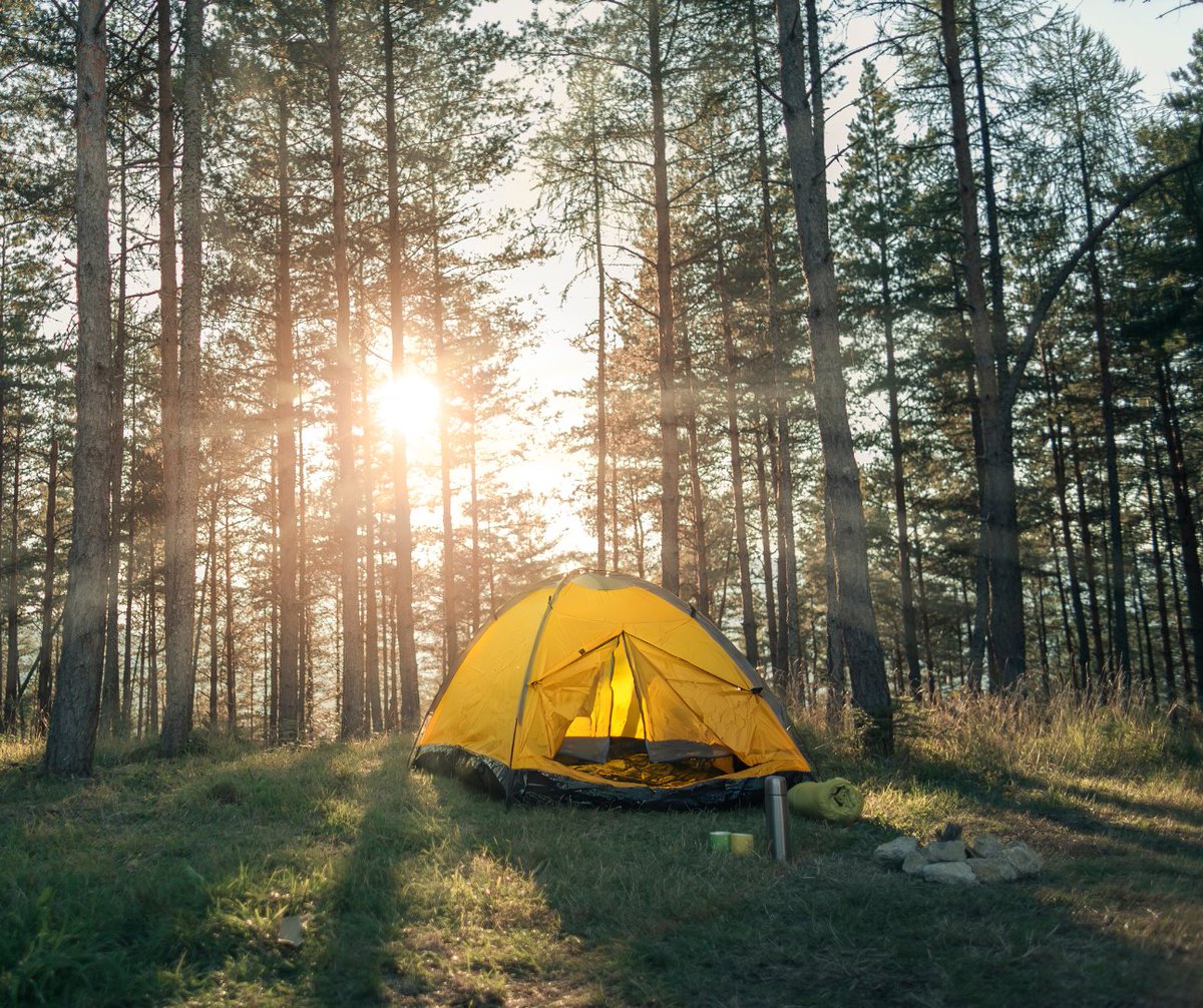 BCFireSmart's tweet image. Heading out for Canada Day? Remember to be FireSmart.
✔️ Follow all fire bans and restrictions
✔️ Be responsible with campfires, or skip them altogether if needed
✔️ Report all wildfires, unattended campfires, or burning violations
Let’s work together this wildfire season.