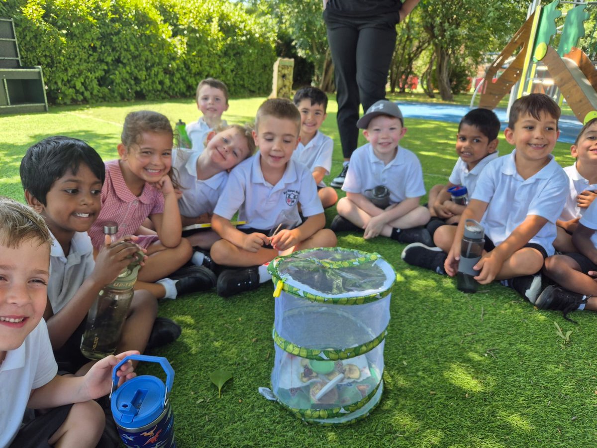 Leechapelsch's tweet image. We have extended our Reception children’s learning and knowledge on the lifecycle of butterflies this week. 
The children have watched the caterpillars turn into cocoons and finally into butterflies 🦋 
#Science #Nature #ExtendedLearning
