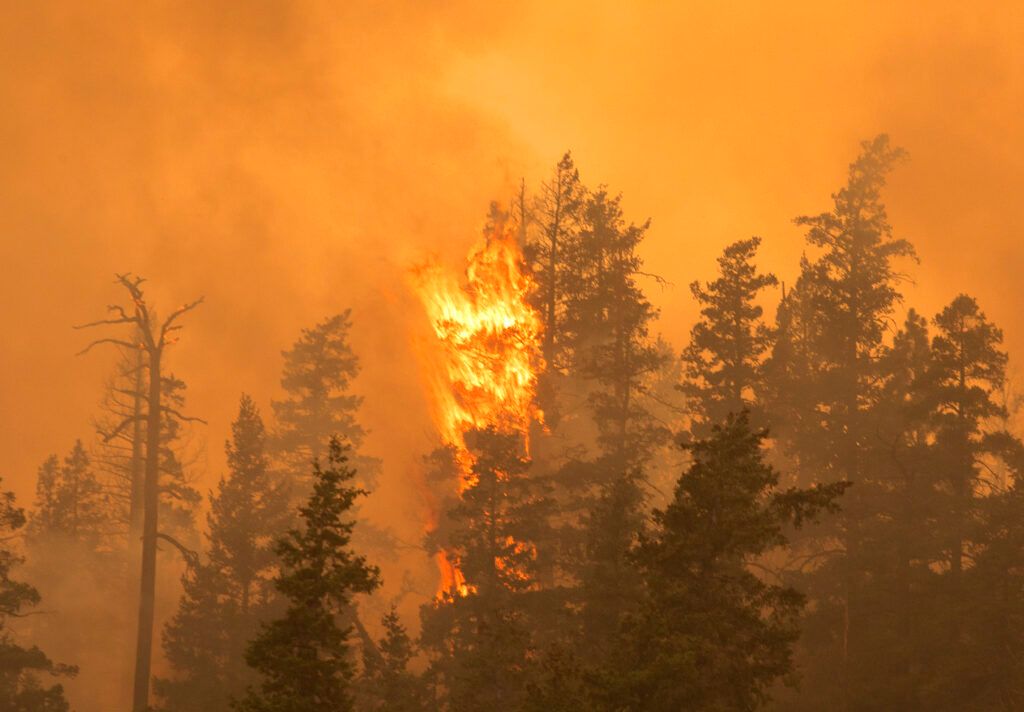 New Post: Navigating wildfires: A rental store perspective canadianrentalservice.com/navigating-wil…