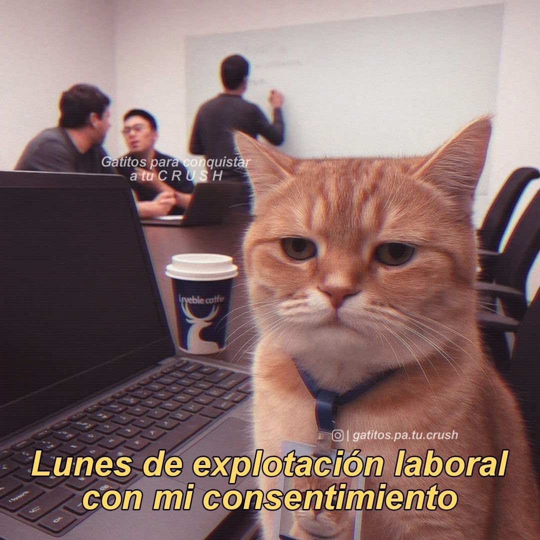 🙋‍♀️Alguien más?
