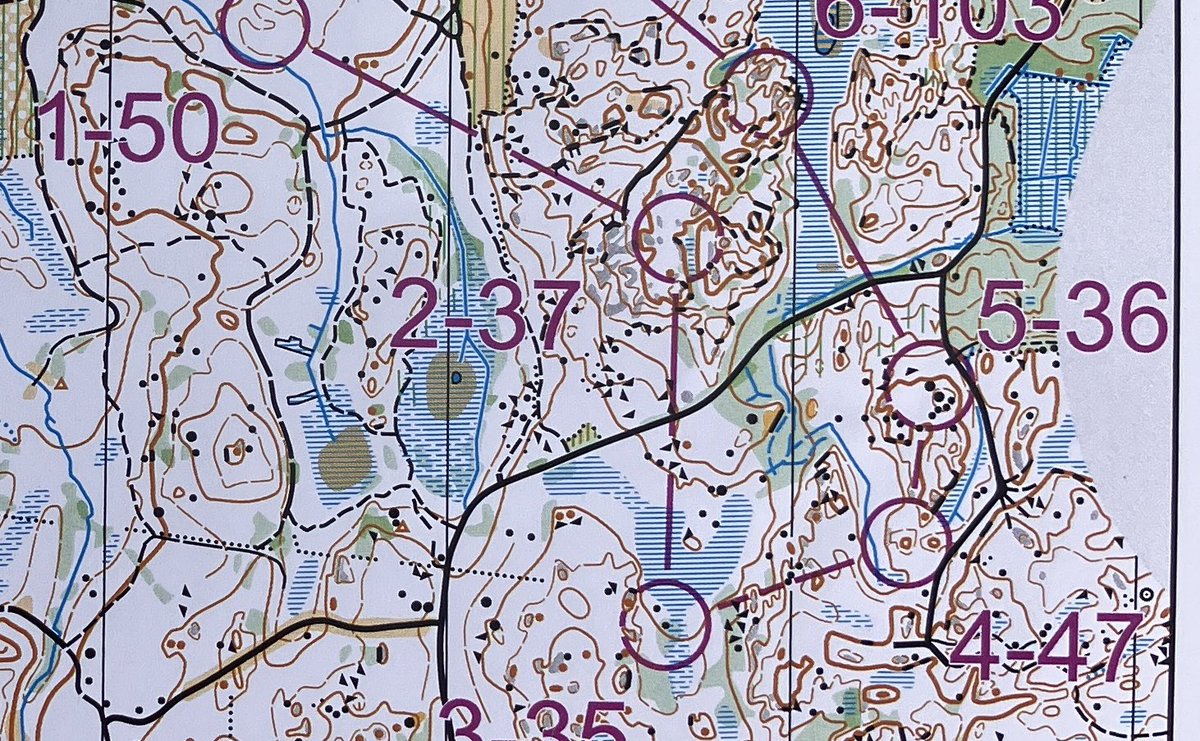 Jo kolmas maanantai peräkkäin #treiltarastit, tällä kertaa Pinsiössä. Tarjolla olikin harvinaisen monipuolinen maasto kangasta, kalliota ja lopussa harjua. #suunnistus #Ylöjärvi