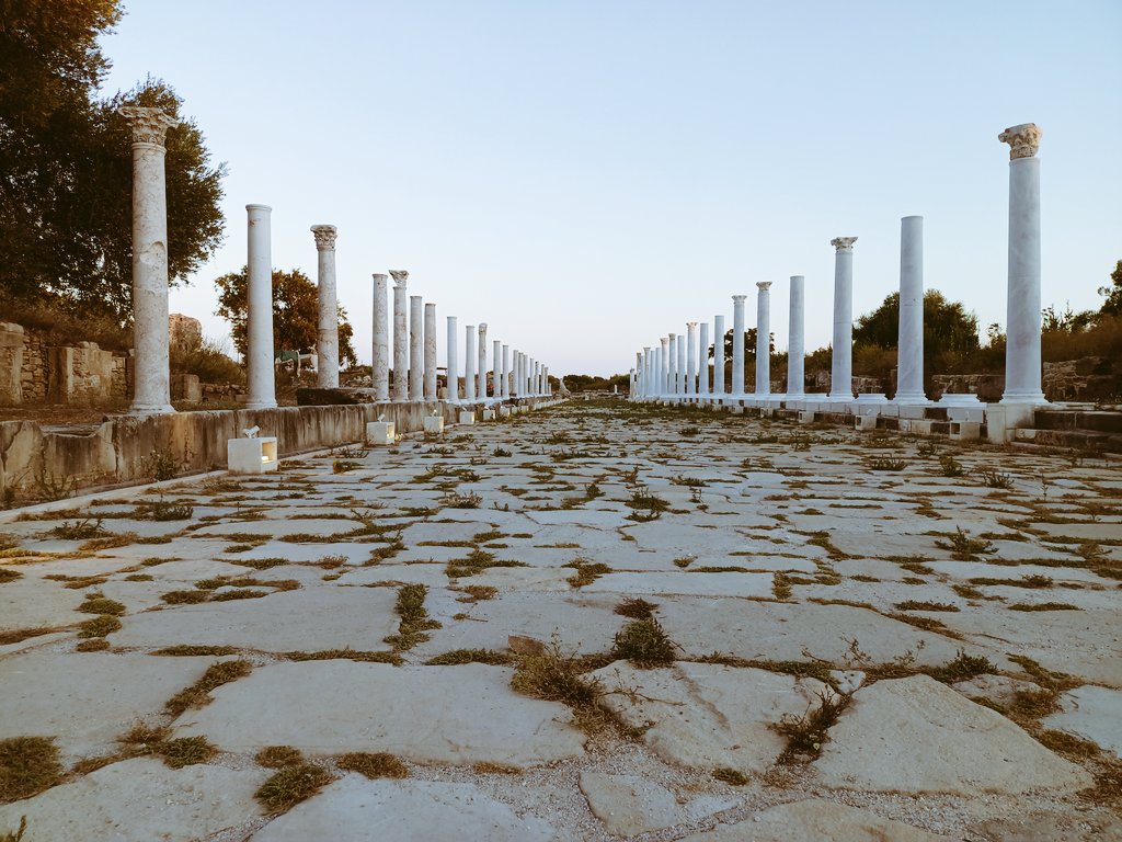 "Her yaşadığım gün neden intihar etmediğimin cevabı aynı mı? Gözleri bağlı dolap beygiri gibi hayatı teğet geçmek istemiyorsan her gün sor kendine;
"Niçin yaşıyorum?"
Gün sonuna kadar cevabını verememişsen intihar etmişsin gibi yaşıyorsun demektir."
Gündüz Vassaf
Ressamın İsyanı