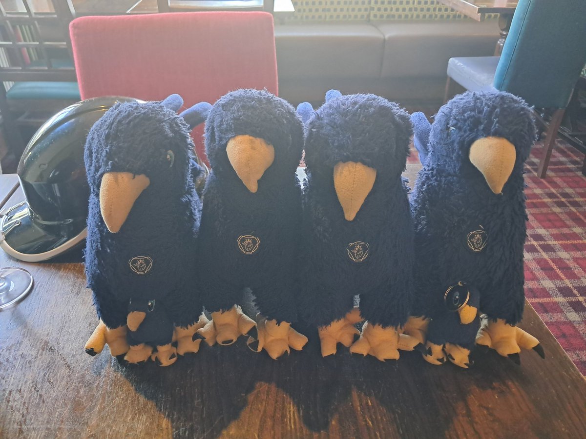 Cfluffkins 🐻 tweet media